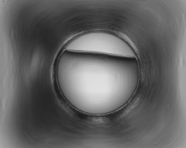X0000100230439200805300728