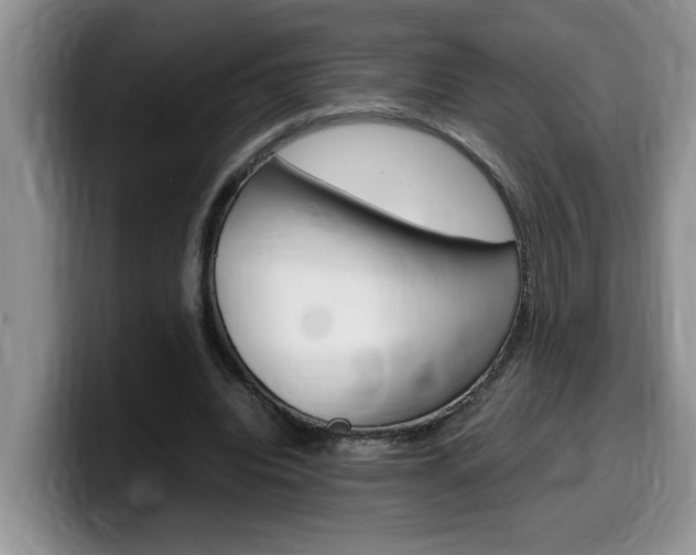 X0000100230440200805300728
