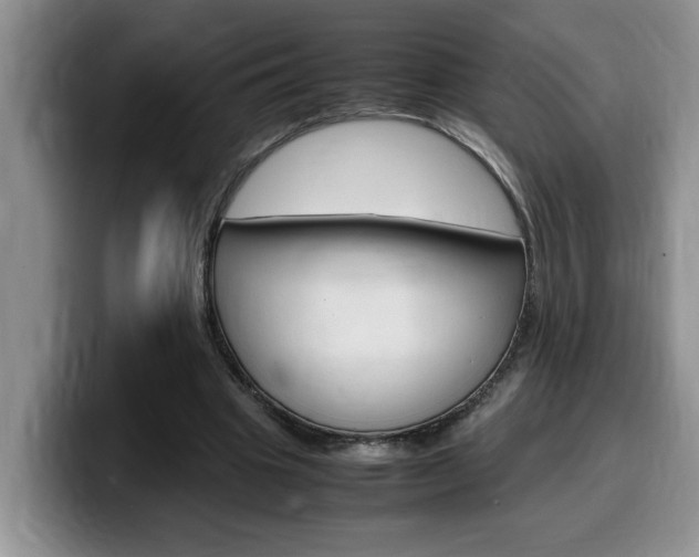 X0000100230441200805300728