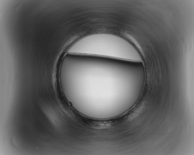 X0000100230443200805300728