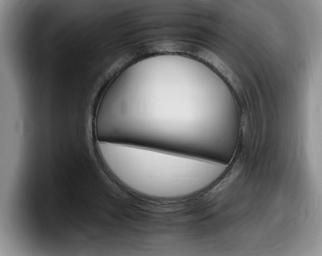 X0000100230445200805300728