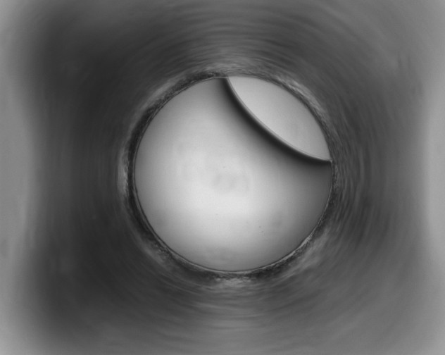 X0000100230446200805300728