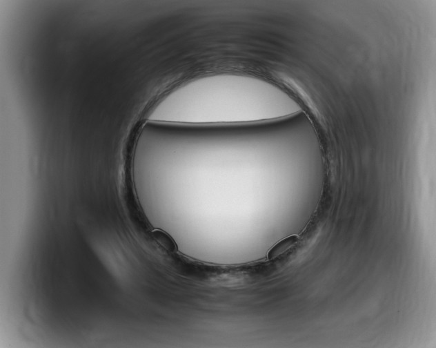 X0000100230447200805300728
