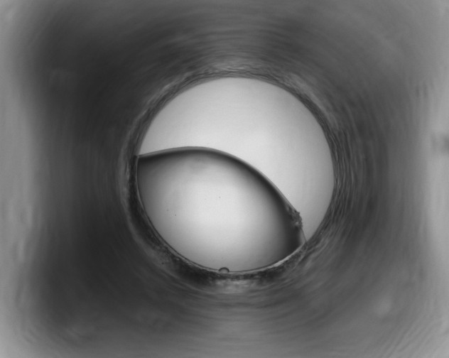 X0000100230448200805300728