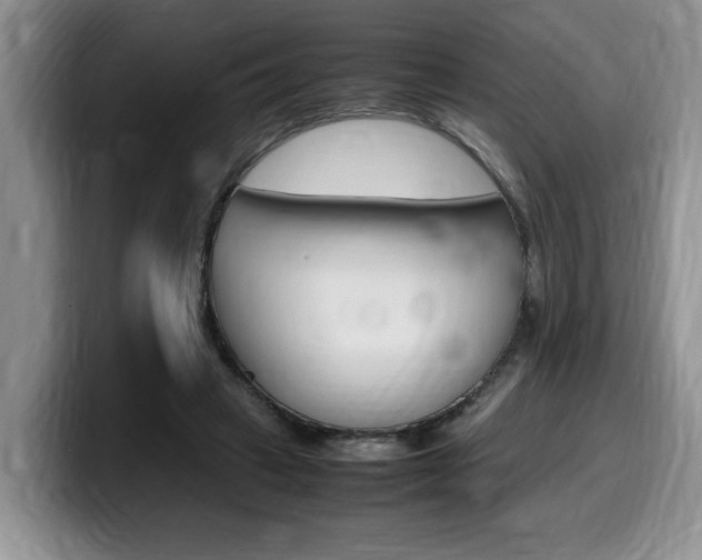 X0000100230449200805300728