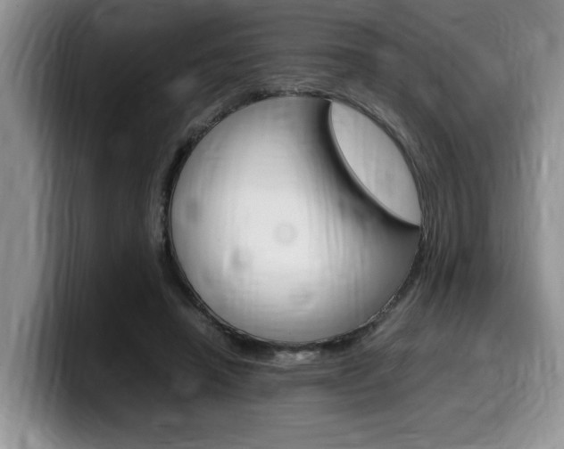 X0000100230450200805300728