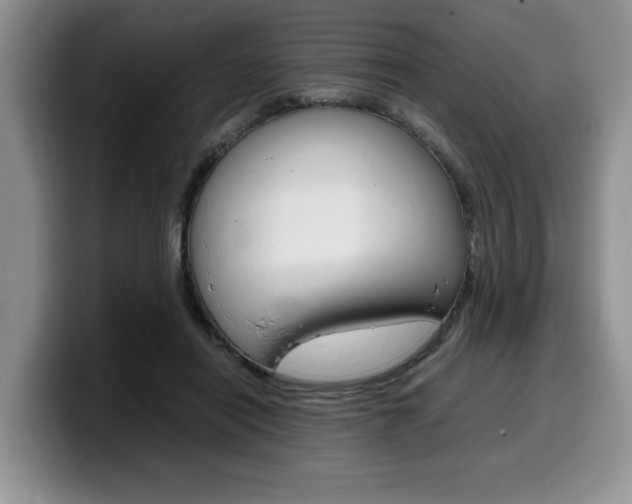 X0000100230454200805300728