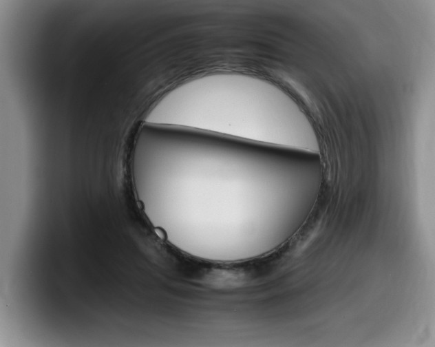 X0000100230455200805300728