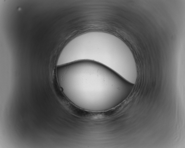 X0000100230456200805300728