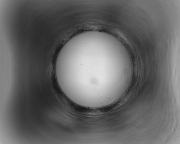X0000100230459200805300728