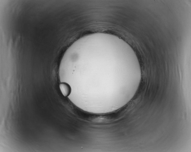 X0000100230460200805300728