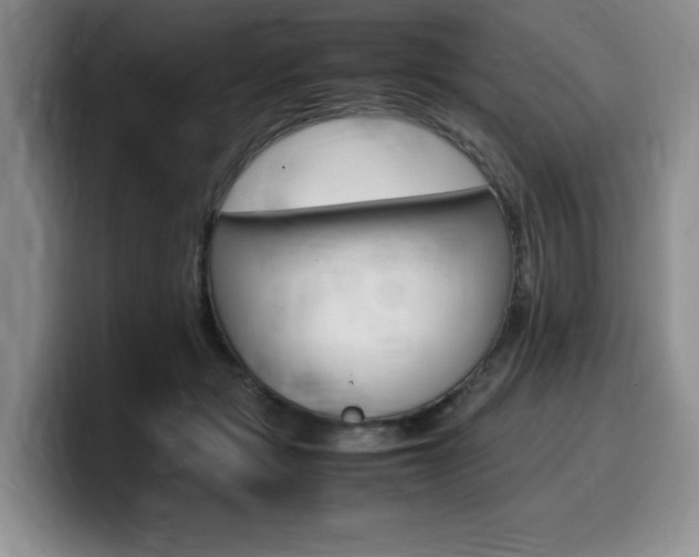 X0000100230461200805300728