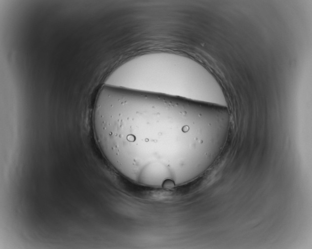 X0000100230462200805300728