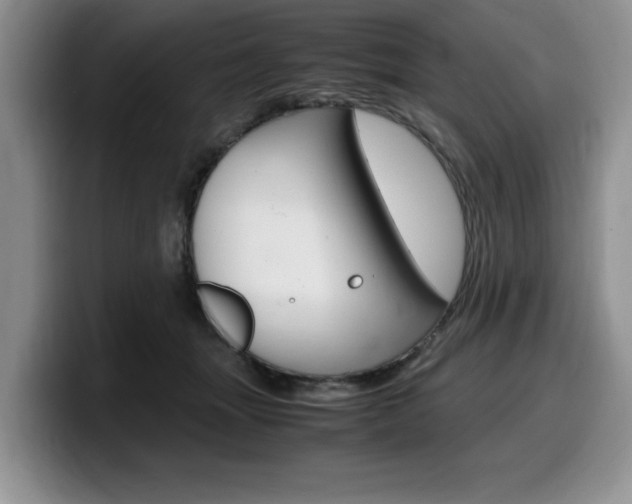 X0000100230463200805300728