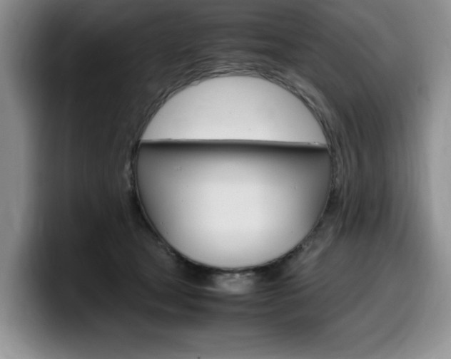X0000100230465200805300728