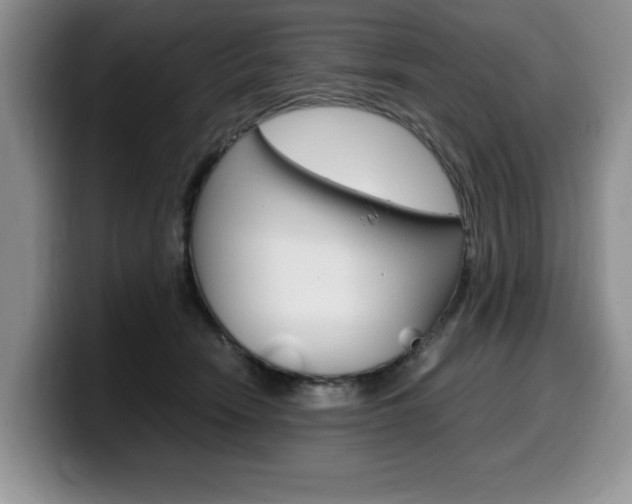 X0000100230466200805300728