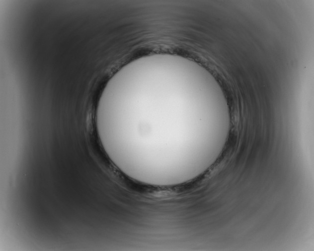 X0000100230468200805300728