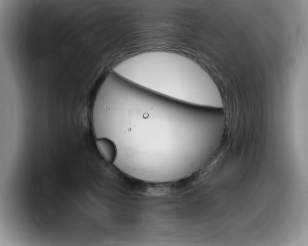 X0000100230470200805300728