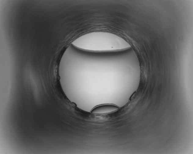 X0000100230475200805300728