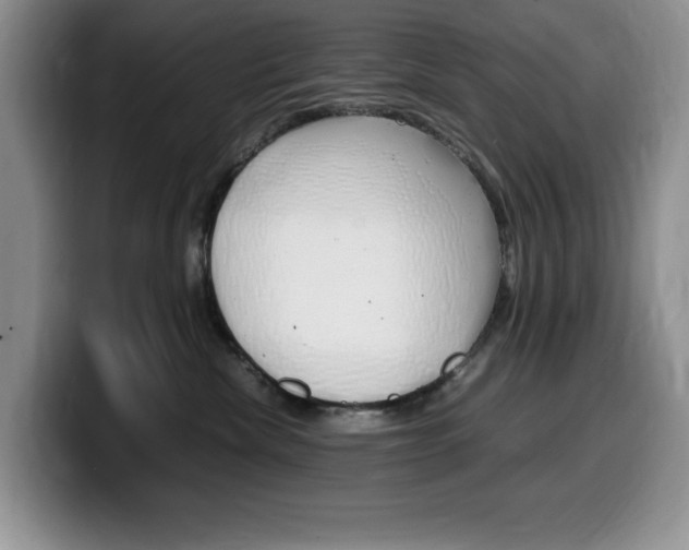 X0000100230476200805300728