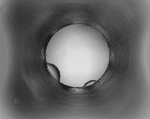 X0000100230477200805300728