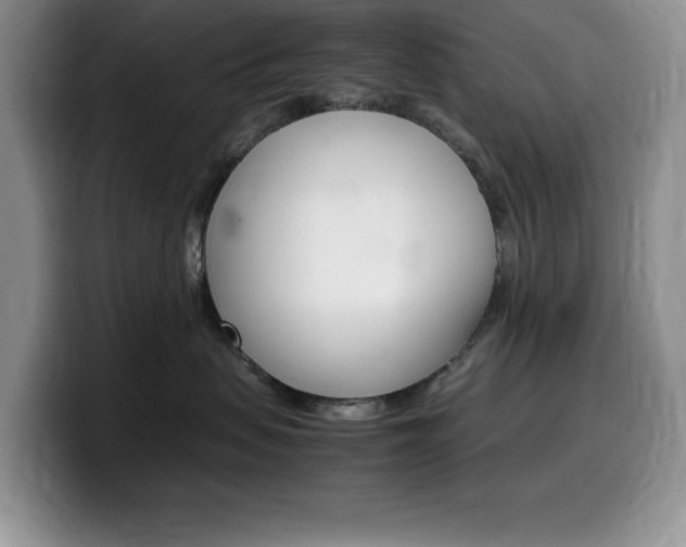 X0000100230479200805300728