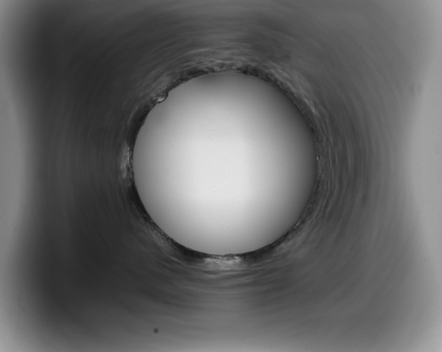 X0000100230480200805300728