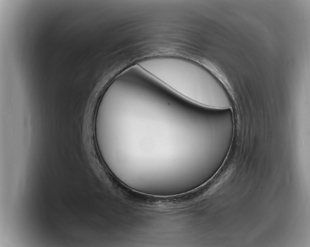 X0000100230481200805300728