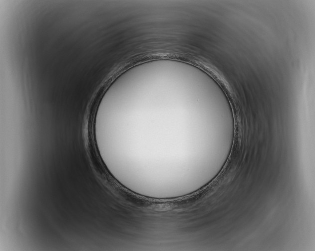 X0000100230482200805300728