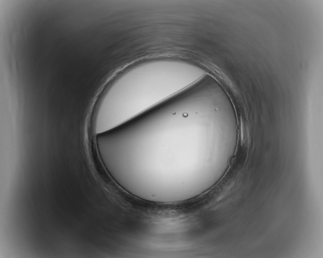 X0000100230483200805300728