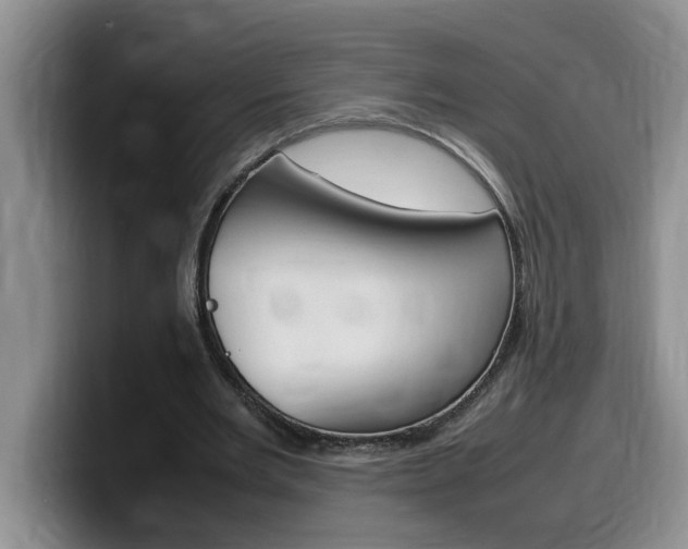 X0000100230485200805300728