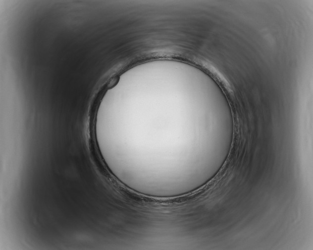 X0000100230486200805300728