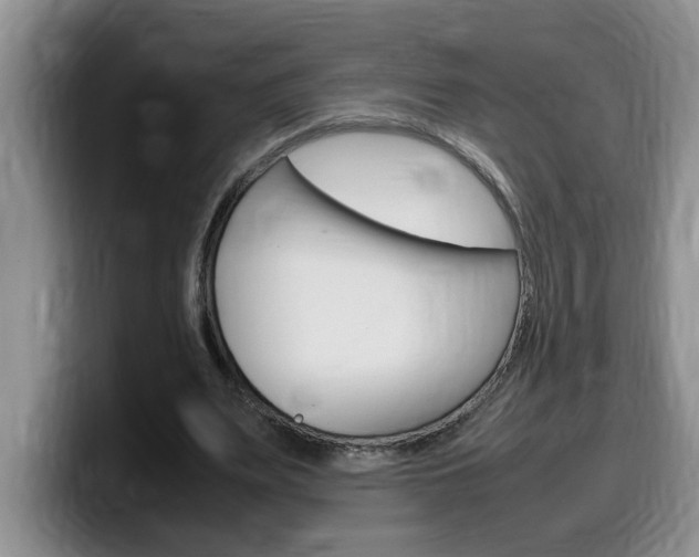 X0000100230487200805300728