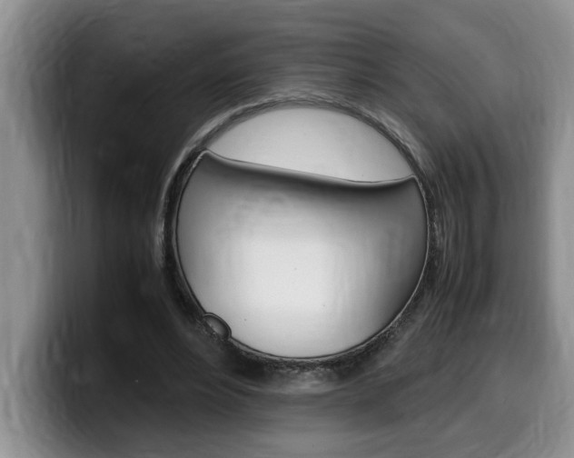 X0000100230488200805300728