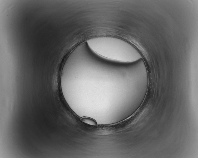 X0000100230489200805300727