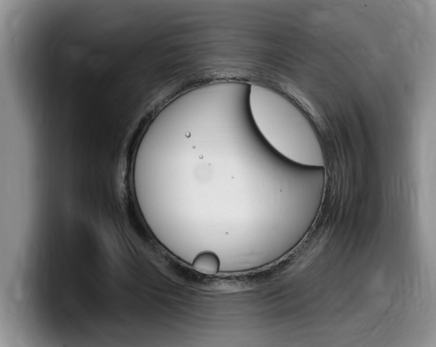 X0000100230490200805300727