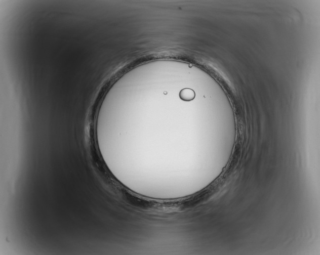 X0000100230491200805300727
