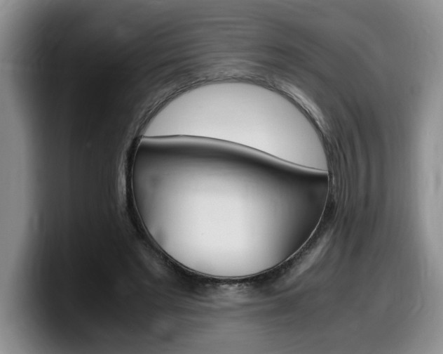 X0000100230493200805300727