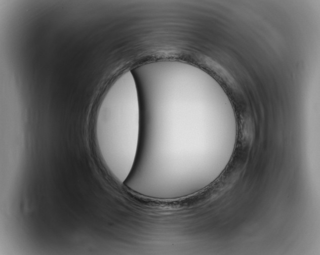X0000100230494200805300727