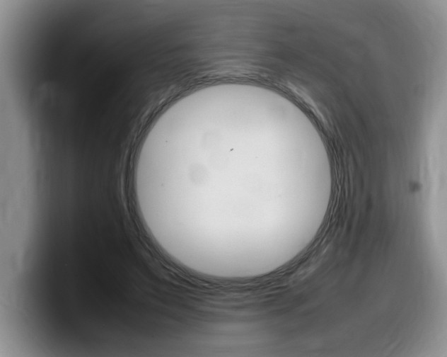 X0000100230495200805300727