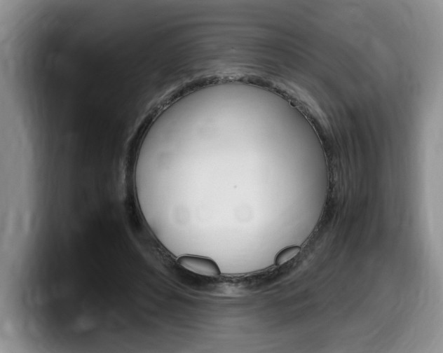 X0000100230496200805300727