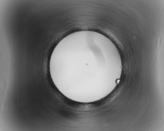 X0000100230497200805300727