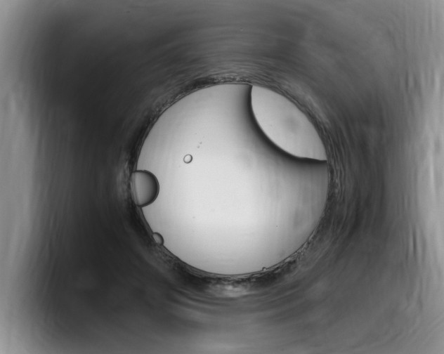 X0000100230498200805300727