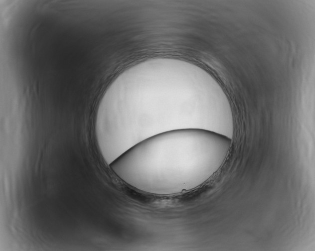 X0000100230499200805300727