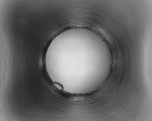 X0000100230500200805300727
