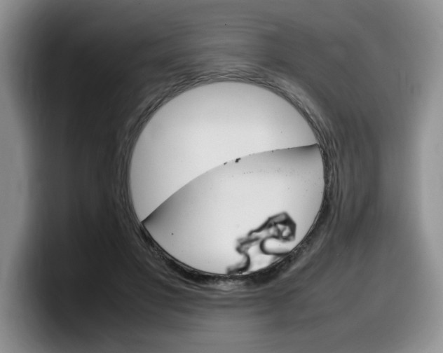 X0000100230501200805300727