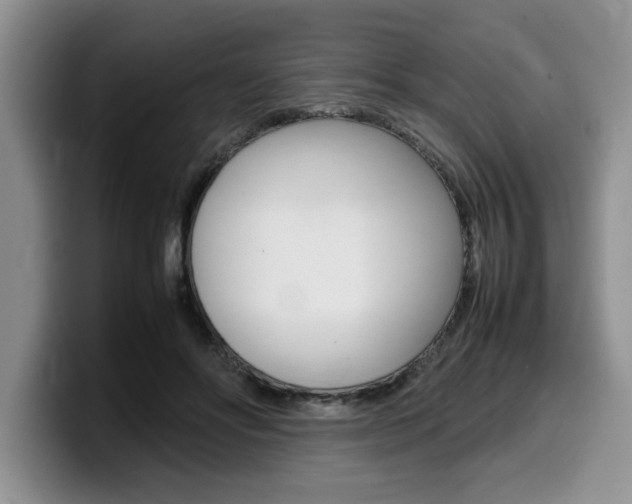 X0000100230502200805300727