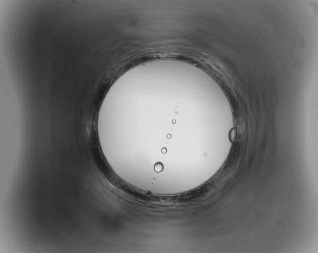 X0000100230503200805300727