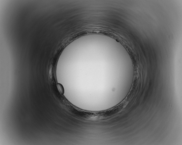 X0000100230504200805300727