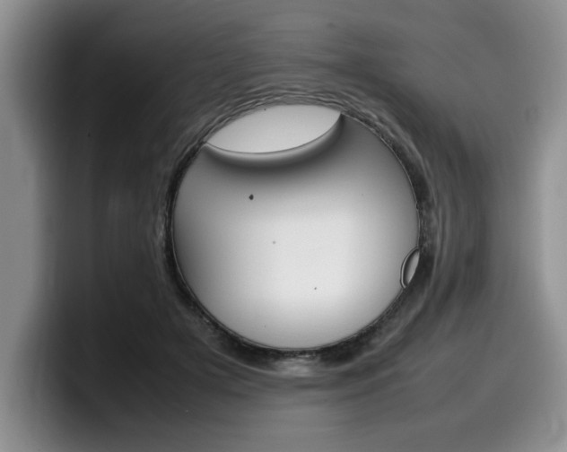 X0000100230505200805300727